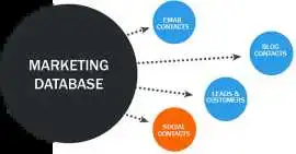 Database Marketing Strategies