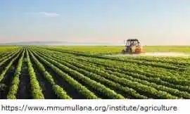 Bsc agri admission, Ambala