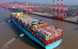 How Does Automation Help in The Timber Supply, Taby
