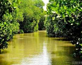 Top Places To Visit In Chidambaram For Families, Los Angeles