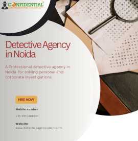 Acquire effective detective agency in Noida , Noida