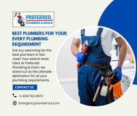 Best Plumbers for Your Specific Plumbing Needs, Fremont