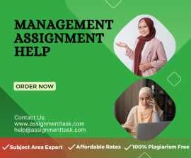 Are You Looking for Management Assignment Help?, Dubai