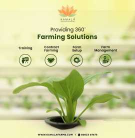 Contract Farming Policies in India, Hyderabad