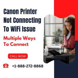Canon Printer Not Connecting To WiFi Issue, Haltom City