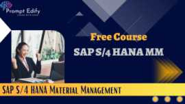Fico Course, Pune