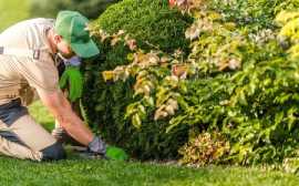 Best Landscaping Companies in Kitchener : Taycanla, Agincourt