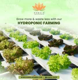 Contract Farming Services: Empowering Farmers, Hyderabad