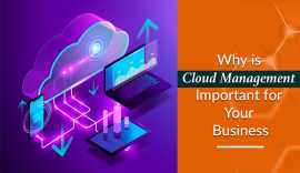 Timber Exchange is a Cloud Based Enterprise, Taby