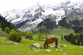 Kashmir Panorama Trails, Rp 20,000