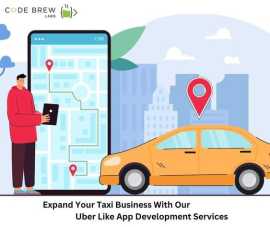 Our App Taxi Build Company's Core Value, Dubai