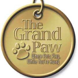  Dog Daycare Palm Springs | Dog Grooming, Palm Springs