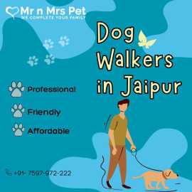Dog Walking Services in Jaipur, Jaipur