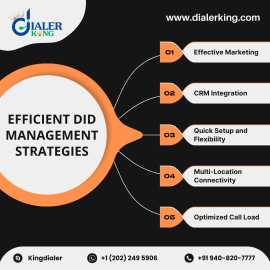 Mastering Efficient DID Management, Bogo