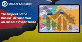 The Impact of the Russia Ukraine War on Global, Taby