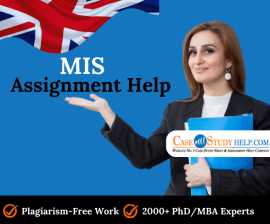 Management Information System Assignment Help UK, London