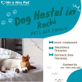Dog Boarding Services in Kochi, Kochi