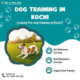 Dog Training in Kochi, Kochi