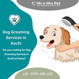 Dog Groomers in Kochi, Kochi