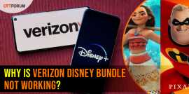 Verizon Disney Bundle Not Working, New York