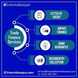 Payment And Transfer Services At Emerio Banque, London