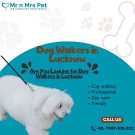 Dog Walkers in Lucknow, Lucknow