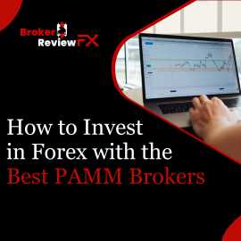 How to Invest in Forex with the Best PAMM Brokers, New York