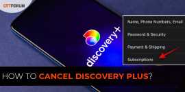 Cancel Discovery Plus, New York