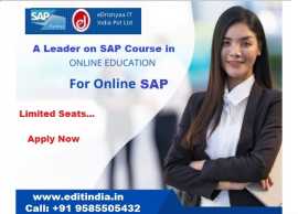 eDrishyaa IT India Pvt. Ltd (SAP Academy), Coimbatore