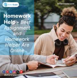 Homework Help - Best Assignment and Homework Helpe, San Diego