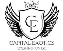 Capital Exotic, Arlington