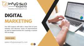 Search Engine Optimization Company in India, Delhi