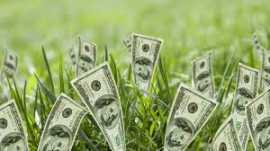 Quick Financial services opportunities Unsecured , Al Fahahil