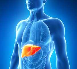 Most Reliable Liver Transplant cost in India, Gurgaon