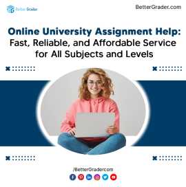 Online University Assignment Help: Fast, Reliable,, San Diego