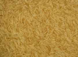 Best Rice Exporter in India, Karnal