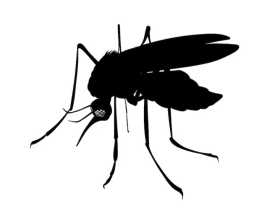 Mosquito spraying in La Grange Park, Chicago