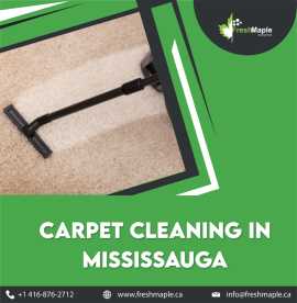 Carpet Cleaning in Mississauga, Oakville