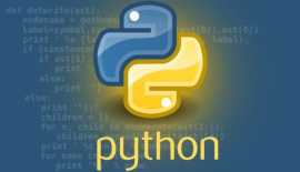 Ignite Your Tech Journey with Python Magic at Unco, Hisar
