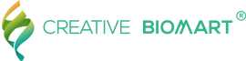 Drug Development Microbial Service, New York