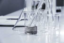 Food Microbiology Services, New City