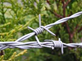 Looking for best-quality Razor Wire in Lucknow? , ₹ 5,000