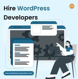 Hire WordPress Developers, Adelanto