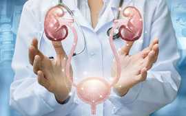 Pediatric Nephrologist in Gandhinagar, Gujarat | K, Gandhinagar