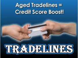 Best Authorized User Tradelines, California City