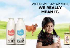 Savor the Natural Essence of Rajkot's a2 Desi Cow , Rajkot