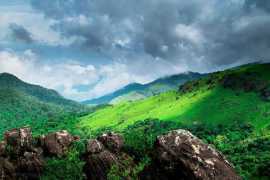  Exploring the Tadiandamol Trek: A Gateway to Natu
