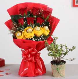 Send Same Day Delivery Gifts Bangalore, ₹ 1,499
