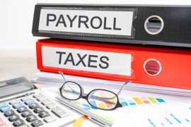 Payroll Processing Services | Virtuous Accounting, Etobicoke
