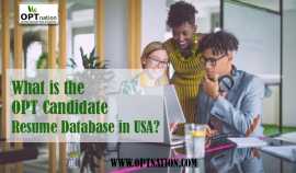 What is The OPT Candidate Resume Database in USA?, New York